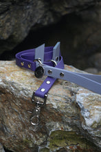 Load image into Gallery viewer, Hunter Dog Leash