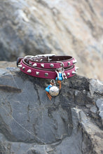 Görseli Galeri görüntüleyiciye yükleyin, Trooper Küçük Köpek Tasması