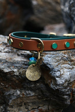 Görseli Galeri görüntüleyiciye yükleyin, Amore Köpek Tasması