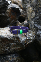 Görseli Galeri görüntüleyiciye yükleyin, Hunter Büyük Köpek Tasması