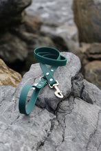 Load image into Gallery viewer, Kody Dog Leash