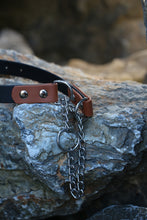 Görseli Galeri görüntüleyiciye yükleyin, Parker Martingal Köpek Tasması