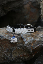 Load image into Gallery viewer, Ranger Large Dog Collar