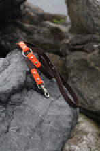 Görseli Galeri görüntüleyiciye yükleyin, Yankee Gezdirme Kayışı