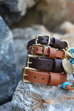 Load image into Gallery viewer, Hunter Mini Dog Collar