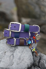 Görseli Galeri görüntüleyiciye yükleyin, Hunter Büyük Köpek Tasması