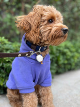 Görseli Galeri görüntüleyiciye yükleyin, Kody Küçük Irk Gezdirme Kayışı