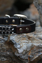 Görseli Galeri görüntüleyiciye yükleyin, Boss Köpek Tasması