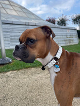 Load image into Gallery viewer, Ranger Large Dog Collar