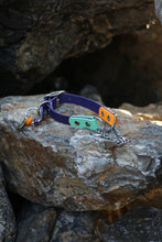 Görseli Galeri görüntüleyiciye yükleyin, Parker Martingal Köpek Tasması