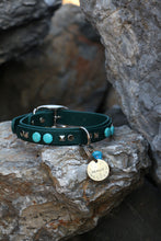 Görseli Galeri görüntüleyiciye yükleyin, Odin Köpek Tasması