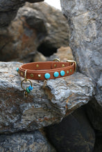 Görseli Galeri görüntüleyiciye yükleyin, Odin Köpek Tasması