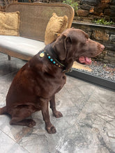 Görseli Galeri görüntüleyiciye yükleyin, Odin Köpek Tasması