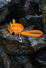 Load image into Gallery viewer, Hunter Dog Leash