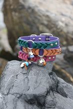 Load image into Gallery viewer, Ranger Large Dog Collar