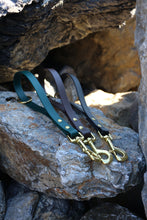 Görseli Galeri görüntüleyiciye yükleyin, Ivy Eğitim/Gezdirme Kayışı