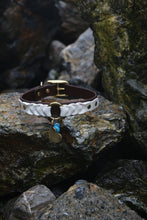 Load image into Gallery viewer, Ranger Large Dog Collar