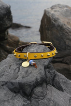 Görseli Galeri görüntüleyiciye yükleyin, Trooper Köpek Tasması