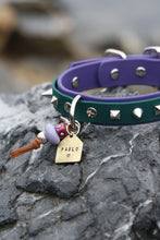 Görseli Galeri görüntüleyiciye yükleyin, Trooper Köpek Tasması