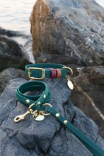 Görseli Galeri görüntüleyiciye yükleyin, Kody Küçük Irk Gezdirme Kayışı