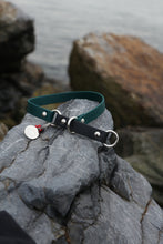 Görseli Galeri görüntüleyiciye yükleyin, Skipper Kayar Tasma