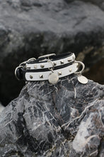 Görseli Galeri görüntüleyiciye yükleyin, Trooper Köpek Tasması