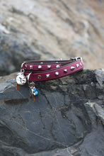 Görseli Galeri görüntüleyiciye yükleyin, Trooper Köpek Tasması