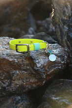 Görseli Galeri görüntüleyiciye yükleyin, Hunter Küçük Köpek Tasması