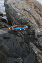 Görseli Galeri görüntüleyiciye yükleyin, Karma Köpek Tasması