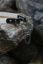 Görseli Galeri görüntüleyiciye yükleyin, Parker Martingal Köpek Tasması