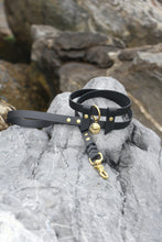 Görseli Galeri görüntüleyiciye yükleyin, Chase Gezdirme Kayışı