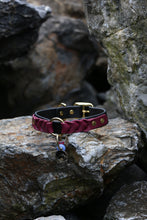 Load image into Gallery viewer, Ranger Large Dog Collar