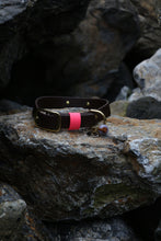 Görseli Galeri görüntüleyiciye yükleyin, Hunter Küçük Köpek Tasması