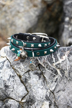 Görseli Galeri görüntüleyiciye yükleyin, Trooper Köpek Tasması