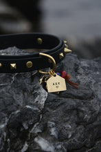 Görseli Galeri görüntüleyiciye yükleyin, Trooper Köpek Tasması