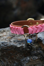 Load image into Gallery viewer, Ranger Large Dog Collar