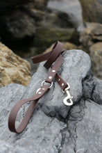 Görseli Galeri görüntüleyiciye yükleyin, Kody Gezdirme Kayışı