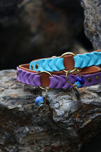 Load image into Gallery viewer, Ranger Large Dog Collar