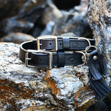 Load image into Gallery viewer, Colt Leather Dog Collar