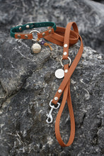 Görseli Galeri görüntüleyiciye yükleyin, Kody Küçük Irk Gezdirme Kayışı