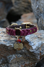 Load image into Gallery viewer, Ranger Large Dog Collar