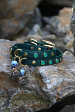 Görseli Galeri görüntüleyiciye yükleyin, Amore Köpek Tasması