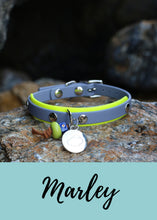 Görseli Galeri görüntüleyiciye yükleyin, Marley