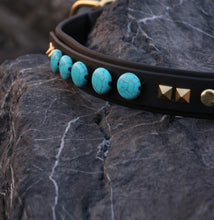 Görseli Galeri görüntüleyiciye yükleyin, Odin Köpek Tasması