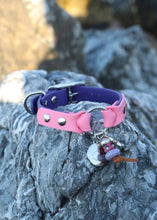 Görseli Galeri görüntüleyiciye yükleyin, Chase Köpek Tasması