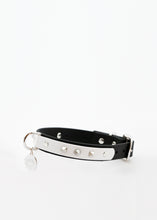 Görseli Galeri görüntüleyiciye yükleyin, Trooper Köpek Tasması