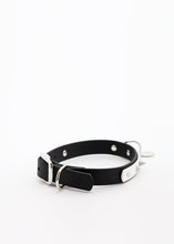 Görseli Galeri görüntüleyiciye yükleyin, Trooper Köpek Tasması