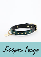 Görseli Galeri görüntüleyiciye yükleyin, The Morning Cloud köpek tasmaları kayışları deri su itici - Biothane Dog Collars Leashes