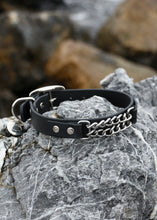 Görseli Galeri görüntüleyiciye yükleyin, Boss Köpek Tasması