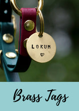 Load image into Gallery viewer, Köpeklere özel pirinç isim künyeleri- Brass Dog Name Tags